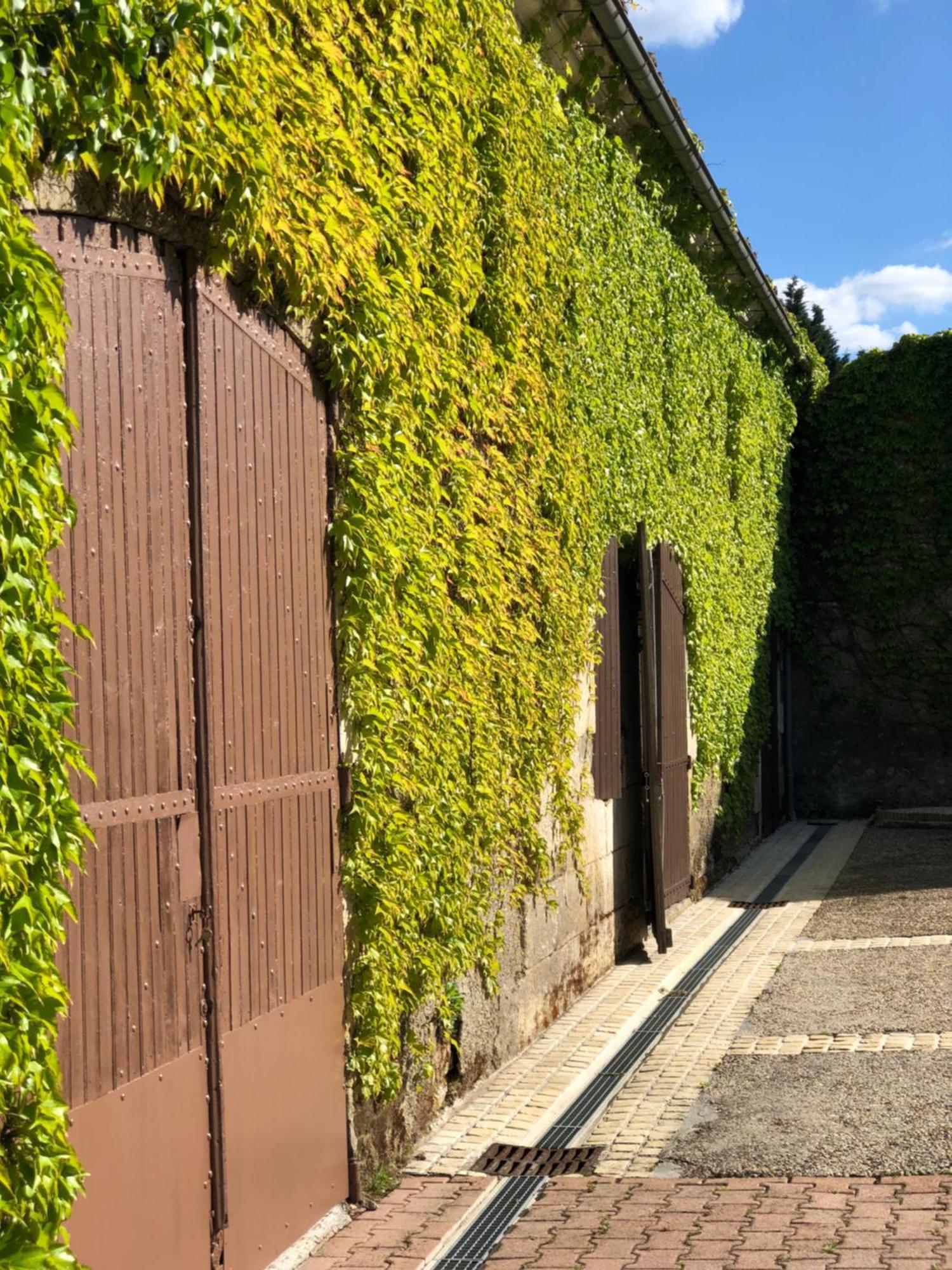 Le Domaine Du Haut Preau Saint-Palais-de-Negrignac Bagian luar foto